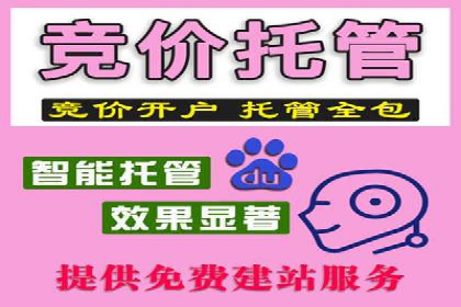 成功案例揭秘：如何有效进行SEM推广